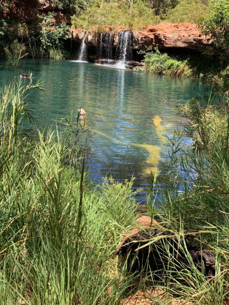 istock Karragini National Park 1143720605