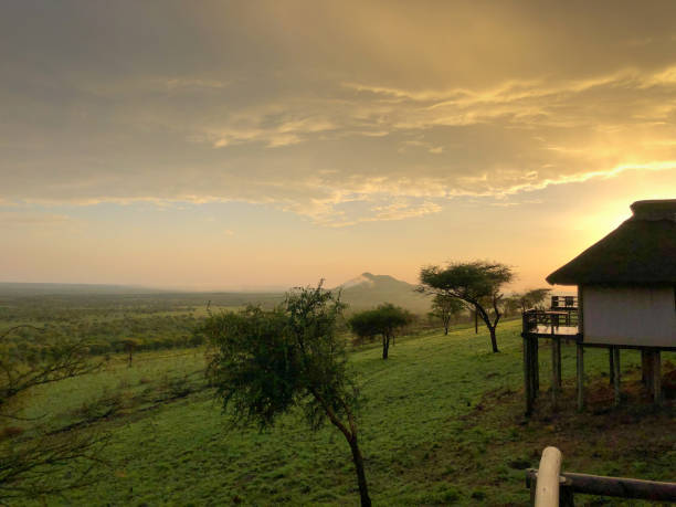 istock Serengeti 1143720750