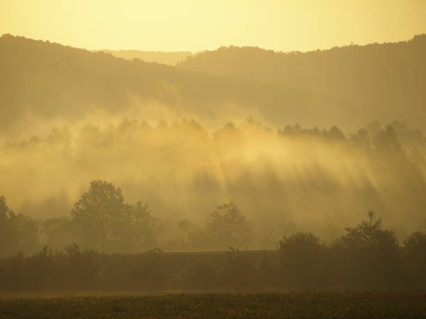 istock A field of morning mist at dawn 1143723659