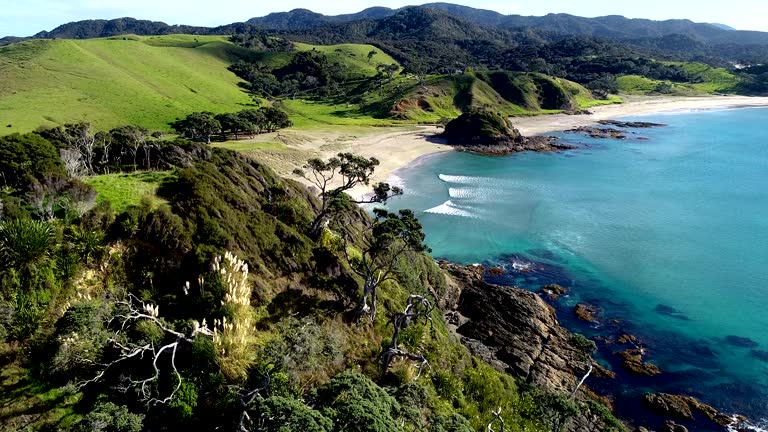 Bay of Islands Aerial View, Russell / New Zealand