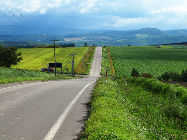 istock Hokkaido single road 1143724753