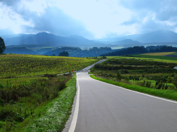 istock Hokkaido single road 1143724758