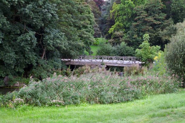 Small bridge in Birds at mere in Mere in Park Parc Parmentier in Brussels Woluwe