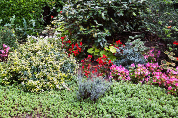istock Garden and front yard in Brussels 1143725037