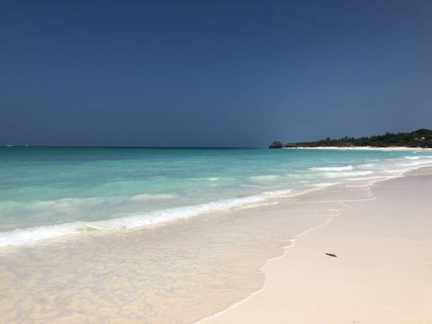 istock Kendwa Beach Zanzibar 1143728140