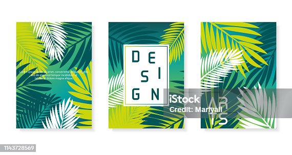 istock Colorful abstract vector poster set. Illustration of palm background. Eps10 1143728569