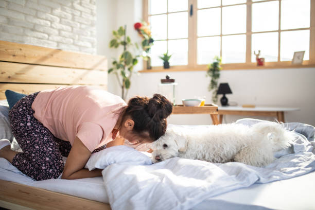 istock Pet and female owner at home 1143730614