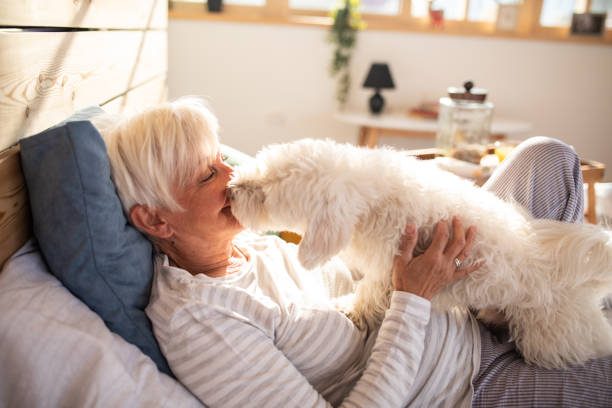 istock Playful dog licking women face 1143730711