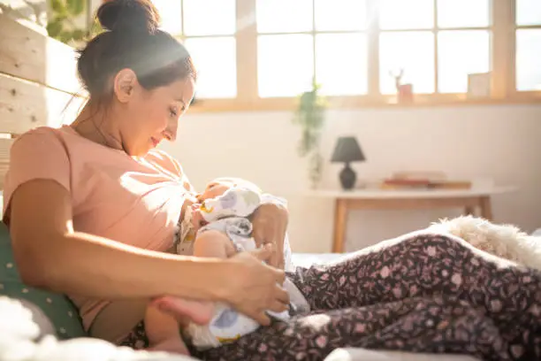 Mother breastfeeding baby, Maltese dog lying on bed near them on sunny morning