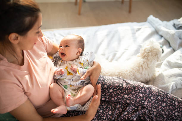 istock Mother, baby boy and Maltese dog 1143730875