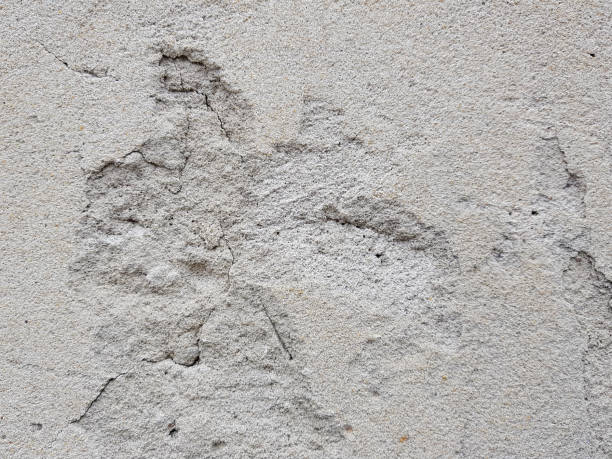 istock Beautiful gradient background banner for text - unusual and beautiful texture of plaster or concrete wall with cracks. 1143731054