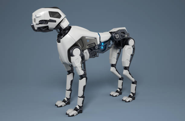 Robot dog stands on a gray background stock photo
