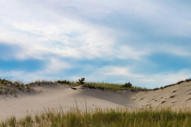 istock Drifted sand dunes with grass on the ridge-horizon under a blue sky 1143732467
