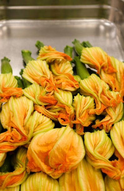 vegetales de flor de calabacín - zucchini blossom squash single flower fotografías e imágenes de stock