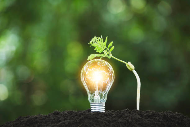 istock Light bulbs with glowing one. technology and creativity concept with light bulbs and copy space for insert text 1143734463