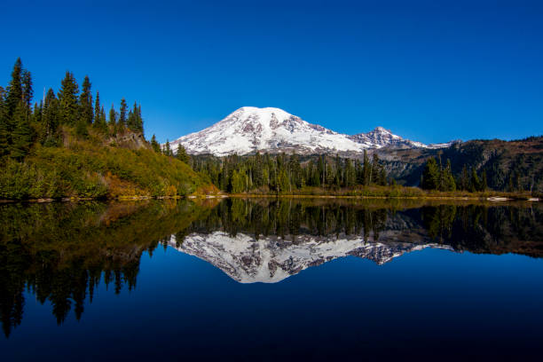 Mount Rainier and Lake Reflection Reflection of Mount Rainier in Bench Lake, Washington, USA mt rainier national park stock pictures, royalty-free photos & images