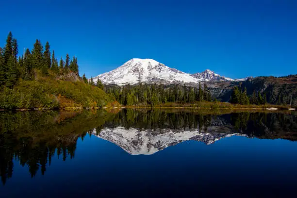 Photo of Mount Rainier and Lake Reflection