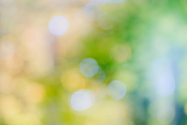 istock Abstract defocused nature background with green and yellow bokeh 1143744421