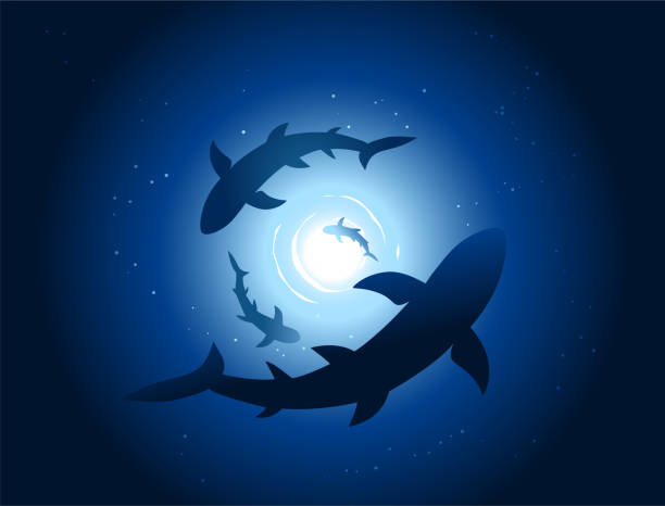 Sharks under water Sharks in the underwater background. calm before the storm stock illustrations