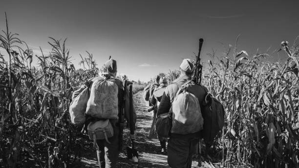 Group Of Re-enactors Dressed As World War II Russian Soviet Red Army Soldiers Marching Through Autumn Cornfield. Photo In Black And White Colors. Soldier Of WWII WW2 Times Group Of Re-enactors Dressed As World War II Russian Soviet Red Army Soldiers Marching Through Autumn Cornfield. Photo In Black And White Colors. Soldier Of WWII WW2 Times. world war ii photos stock pictures, royalty-free photos & images