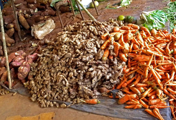 Ginger (Zingiber officinale) ginger roots for sale in local market\