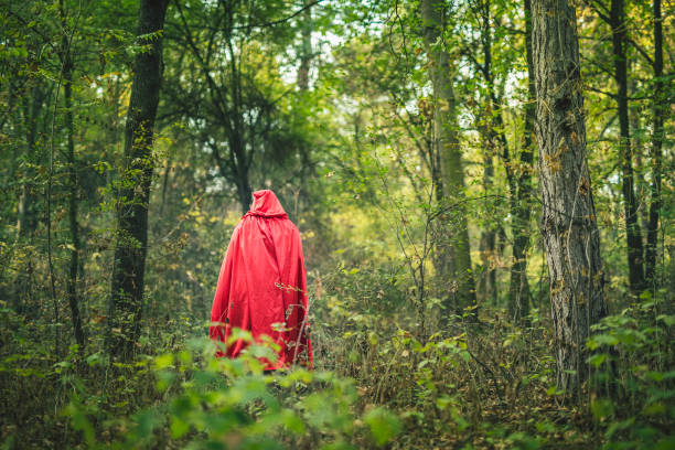 istock Little red riding hood 1143761961
