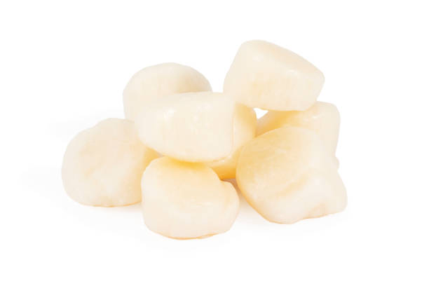 fillet scallop fish on white