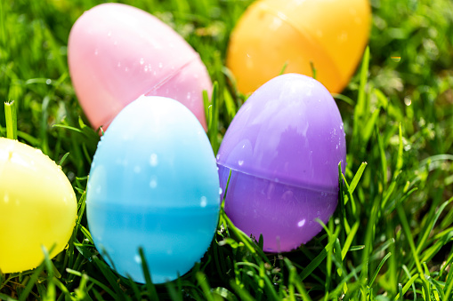 Plastic easter eggs of multiple colors in grass for a hunt or search on the holiday