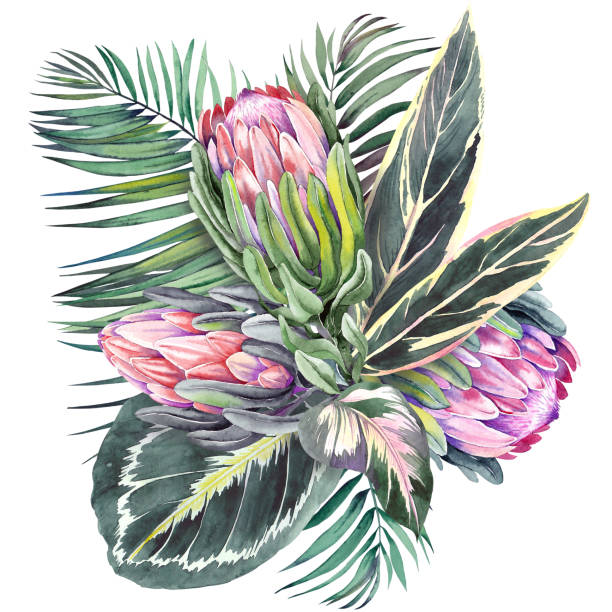 istock Tropical bouquet with exotic protea flowers, calathea and palm leaves. 1143768129