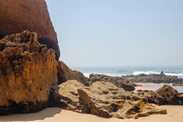 detail of a rocky beach