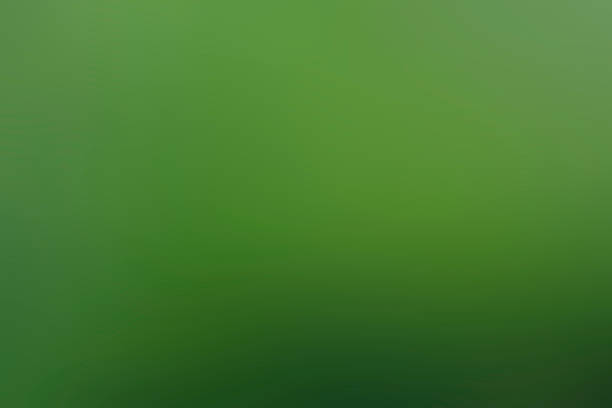 istock Abstract green blurred background. Colorful gradient defocused backdrop. Blur abstract background. Gradient surface 1143770099