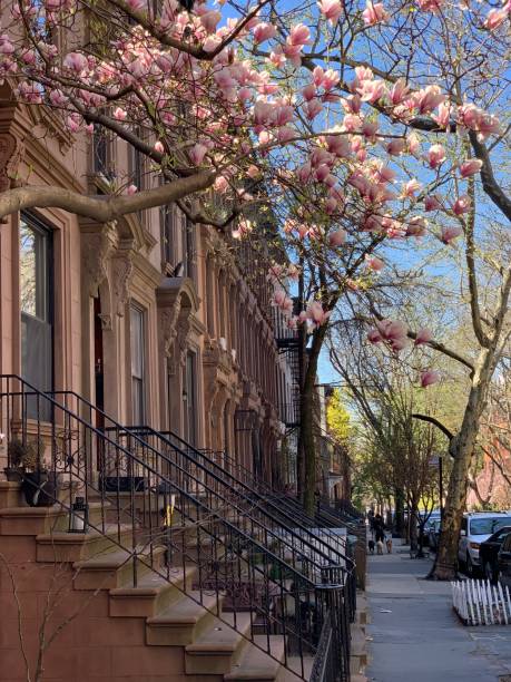 Park Slope, Brooklyn, NYC Park Slope, Brooklyn, New York City, USA real estate outdoors vertical usa stock pictures, royalty-free photos & images