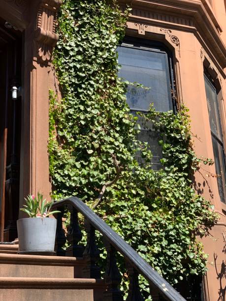 istock Park Slope, Brooklyn, NYC 1143775993