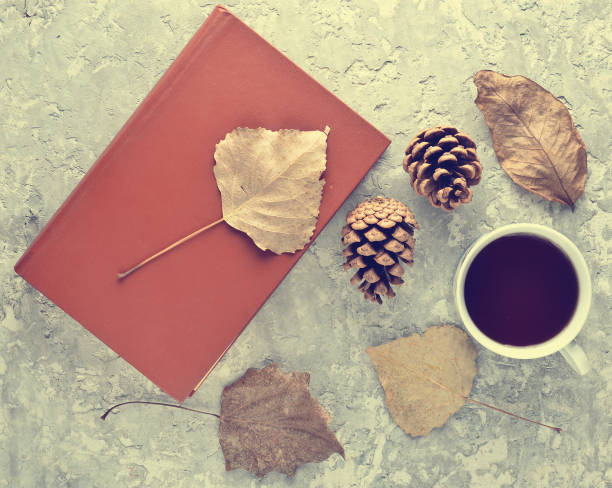 istock Tea when reading a book. Tea, a book, fallen leaves, bumps on a concrete table. Autumn winter atmosphere for reading a new story. Top view. Flat lay. 1143777614