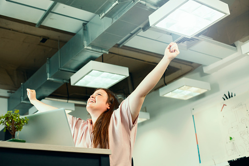 Young Caucasian woman, sitting on a computer, in her work office, smiling, celebrating and astonishing her work, very happy and smiling of what she is doing, concentrated and happy