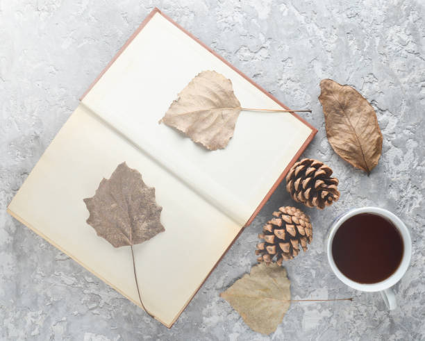 istock Tea when reading a book. Tea, a book, fallen leaves, bumps on a concrete table. Autumn winter atmosphere for reading a new story. Herbarium from dried leaves. Top view. Flat lay. 1143777993