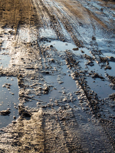 istock dirty rural road with deep tire tracks 1143779214