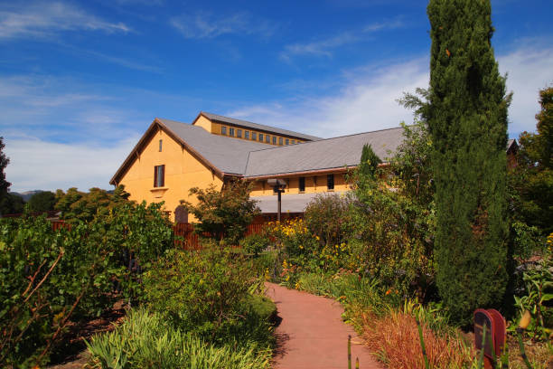 istock Beautiful California Winery 1143780931