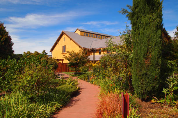 istock Beautiful California Winery 1143780942