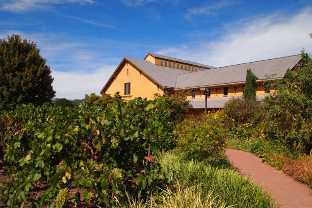 istock Beautiful California Winery 1143780996