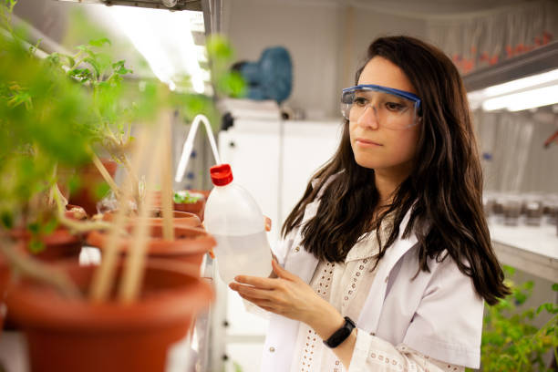 istock Scientist checking plant seedling growth in laboratory 1143781638