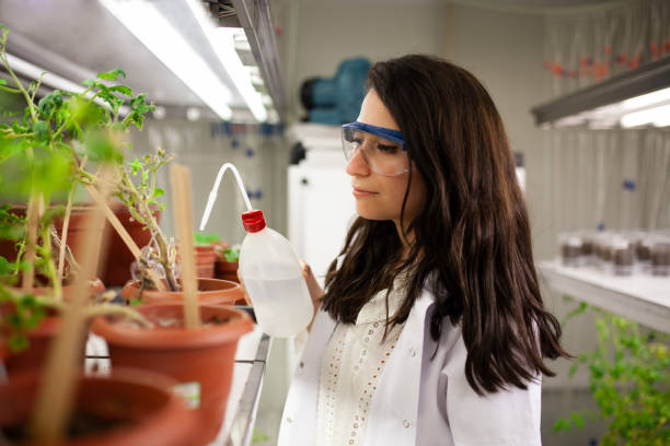 istock Scientist checking plant seedling growth in laboratory 1143781640