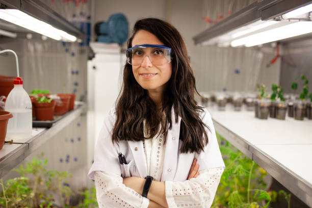 istock Scientist checking plant seedling growth in laboratory 1143783298