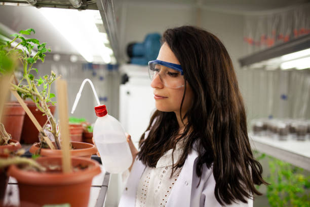istock Scientist checking plant seedling growth in laboratory 1143783303