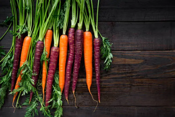 Photo of Yellow and Purple Carrots with Copy Space