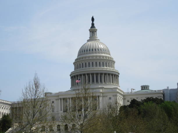 istock Capitol Hill in Washington DC 1143783471