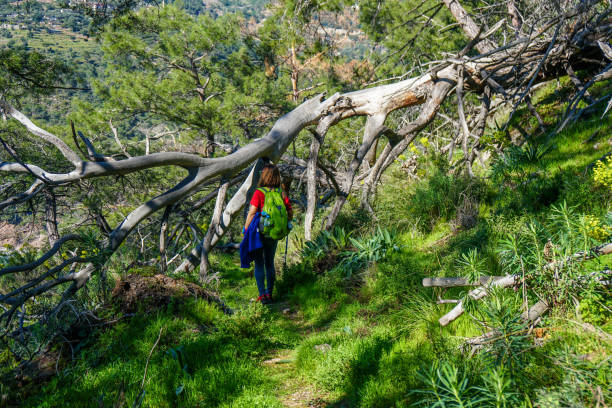 Hikers woman.