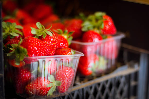 istock Fresh strawberry in plastic box at market 1143787835