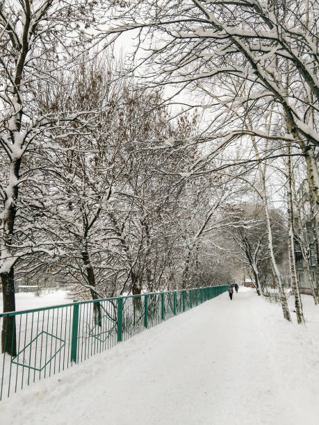 istock Winter path along the fence. 1143788122