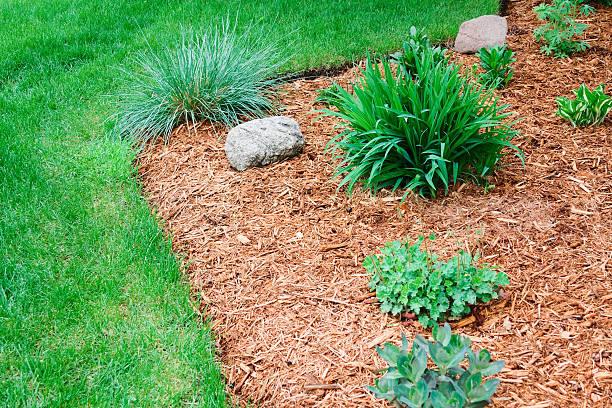 istock Perennial Flower Garden 114378901